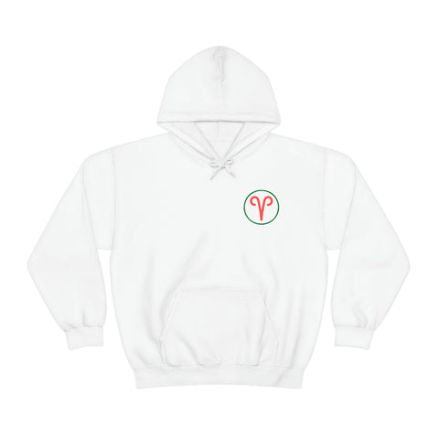 Aries multi-color text hoodie