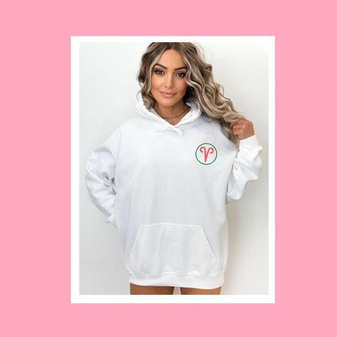 Aries multi-color text hoodie
