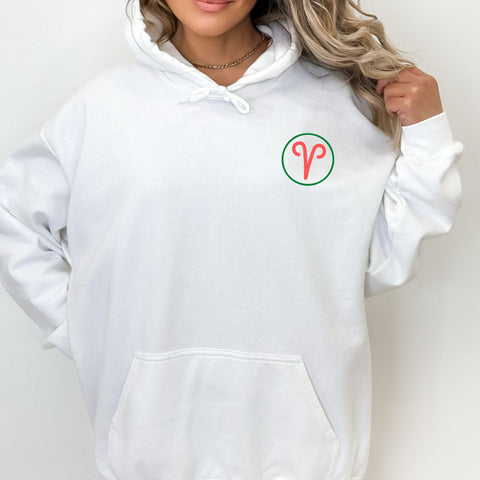 Aries multi-color text hoodie