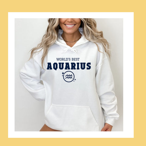 World's best Aquarius hoodie
