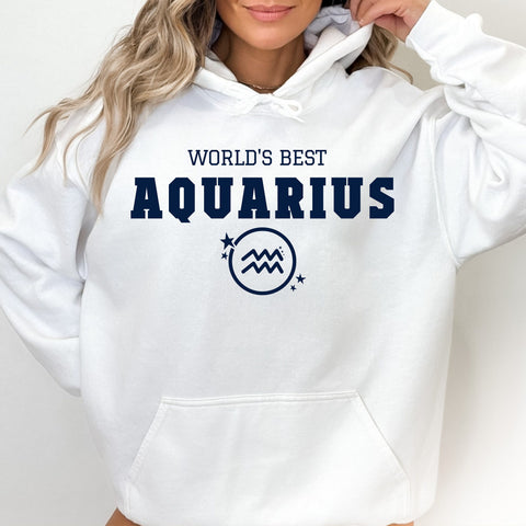World's best Aquarius hoodie