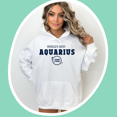 World's best Aquarius hoodie